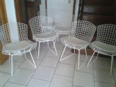 4 chaises Harry Bertoia