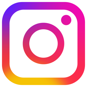 —Pngtree—instagram social platform icon_8704818